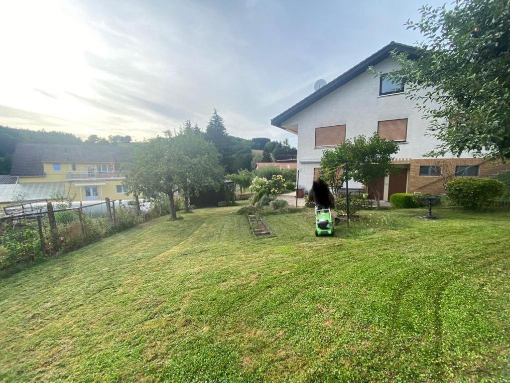 Ferien- Und Monteurwohnung Zum Waldblick Buitenkant foto